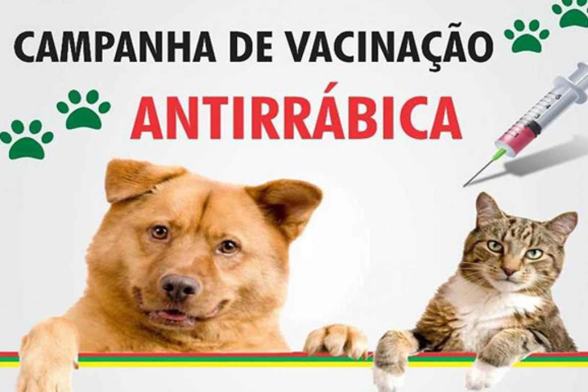 Campanha de Vacinação Antirrábica no município já começou