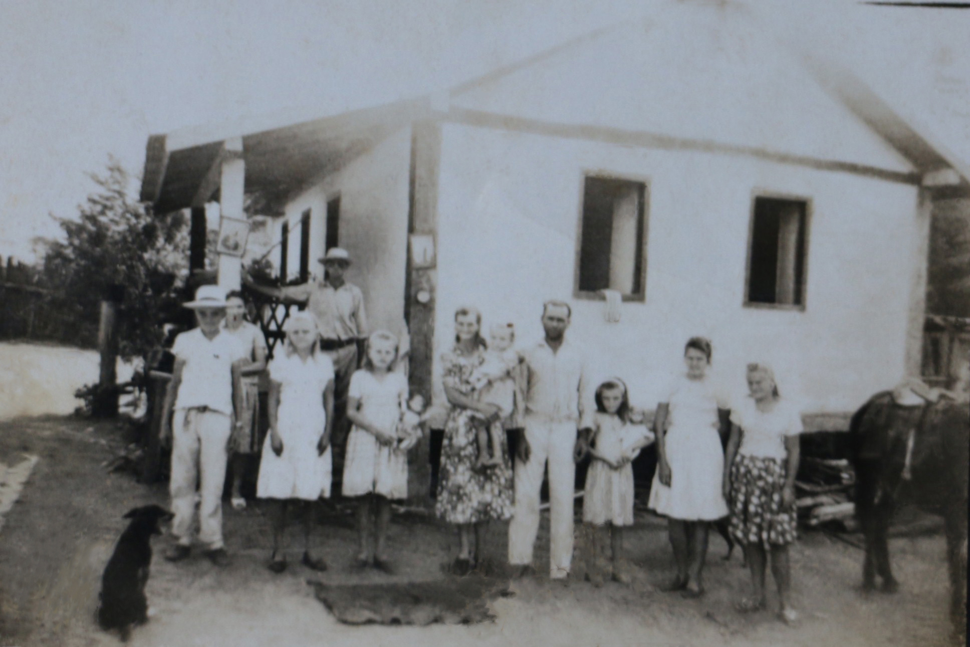 Familia Alzira Sholz