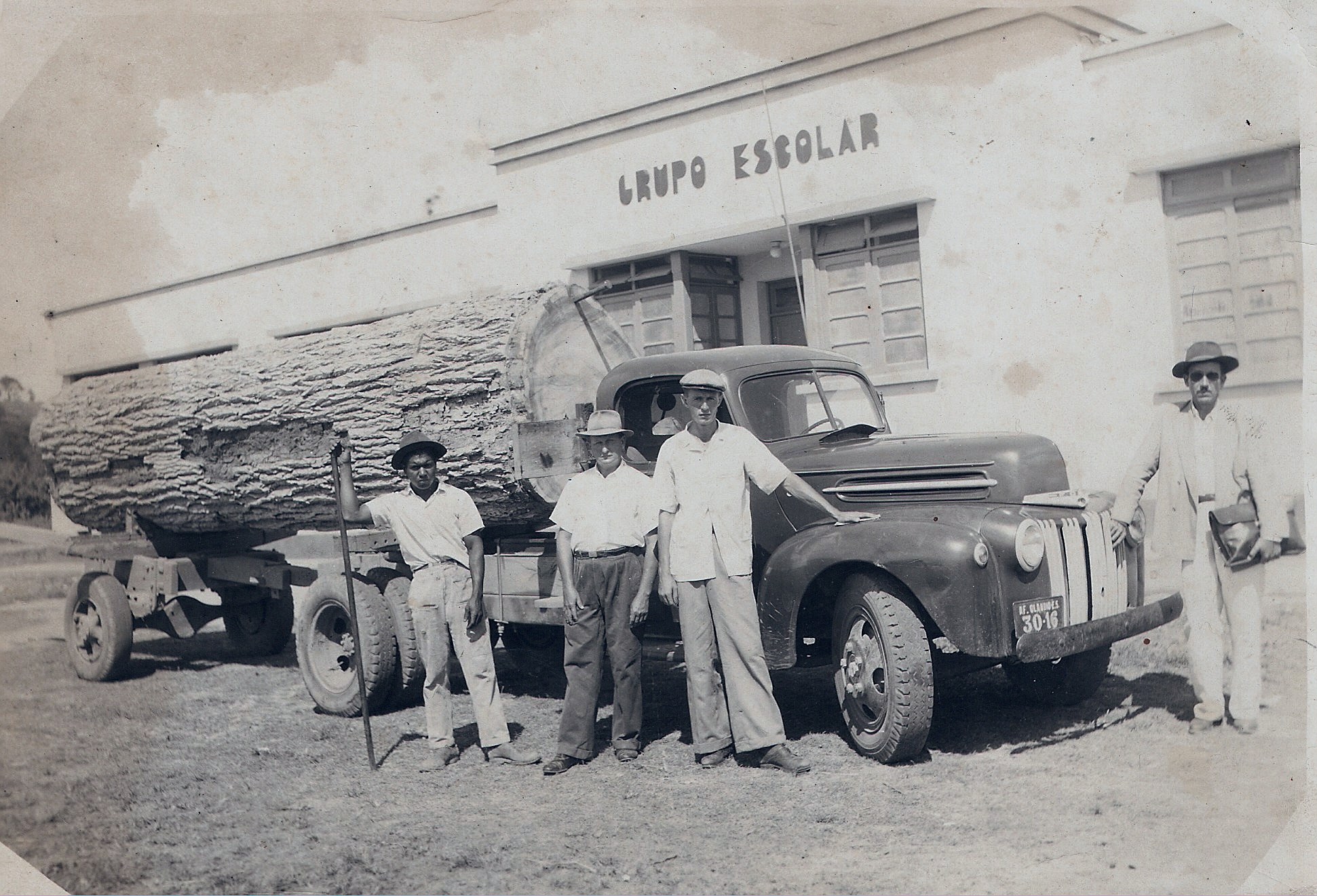 Extração das Primeiras Madeira Nativas