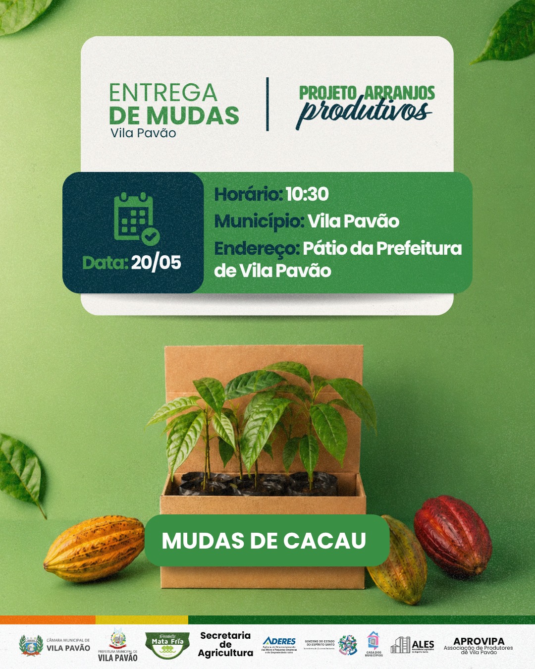 Imagem da notícia: Projeto Arranjos Produtivos entrega mudas de cacau a produtores rurais de Vila Pavão